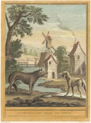 El lobo y el perro flaco