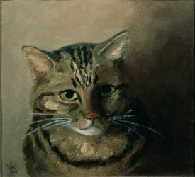 Estudio de la cabeza de un gato atigrado
