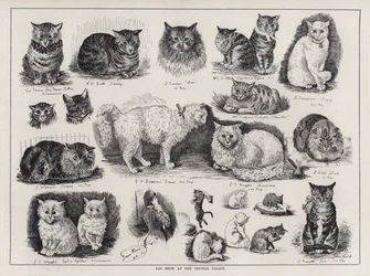 Exposición de gatos en el Crystal Palace