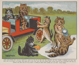 Gatos preparándose para un picnic.
