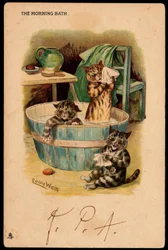 El baño matutino. Animales en postura humana. Gatos bañándose en una palangana. Tarjeta postal. Cromolitografía de Louis Wain (1860-1939), artista inglés conocido por su representación de gatos con ojos grandes. Principios del siglo XX. Colección