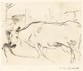 Establo de vacas II