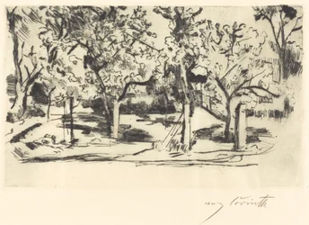 Huerto