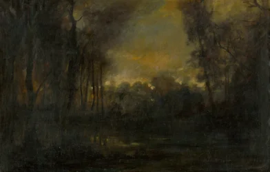 Paisaje Pantanoso