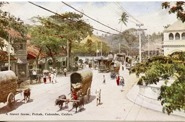 Escena de calle, Pettah, Colombo, Ceilán, c.1900-20 (fotografía coloreada a mano)