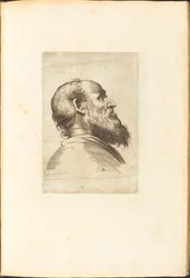 Impresión del Libro de Dibujo