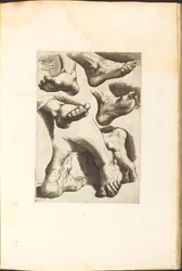 Impresión del libro de dibujos
