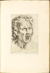 Impresión del libro de dibujos