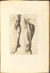 Impresión del Libro de Dibujo