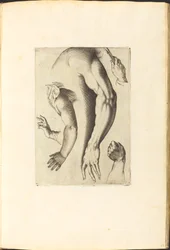 Impresión del libro de dibujos