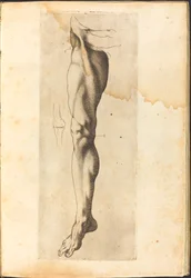 Impresión del libro de dibujos