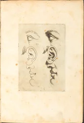 Impresión del libro de dibujos