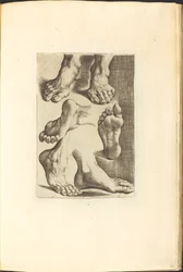 Impresión del Libro de Dibujo