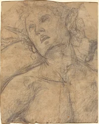Busto de un joven mirando hacia arriba [recto]