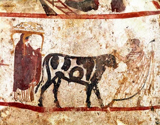 Un toro es conducido al altar del sacrificio. Fresco lucano del siglo IV a. C., procedente de la necrópolis de Andriuolo en Paestum, Italia. Museo Nazionale Archeologico, Paestum