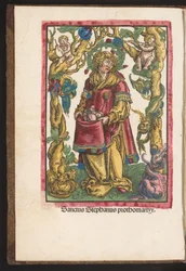H. Esteban