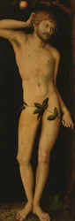 Adán, 1528