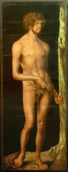 Adán