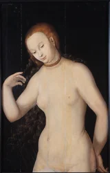 Venus, entre 1527 y 1531