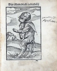 Monje Ternero de Freiberg (Das Mönchskalb zu Freiberg), por Cranach, Lucas, el Viejo (1472-1553). Xilografía