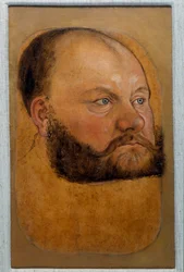 Retrato del Príncipe Wolf Anhalt de Sajonia, Príncipe de la Reforma Dibujo a pastel por Lucas Cranach el Viejo