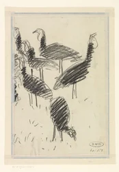 Seis pájaros