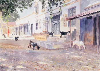 Cabras indias