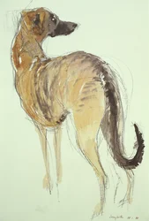 Lurcher de pie