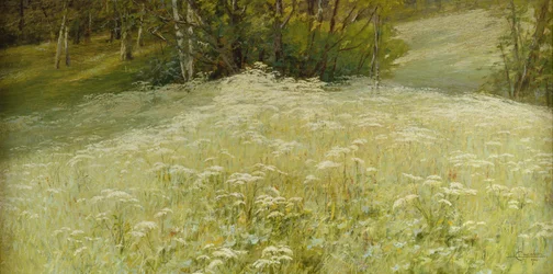Un prado (óleo sobre lienzo)