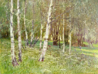 Un paisaje arbolado