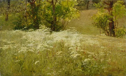 Perejil de vaca en un prado (óleo sobre lienzo)
