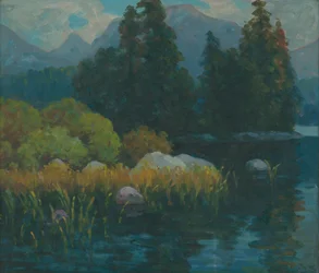 Campo