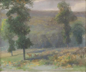 Ciervos en el bosque