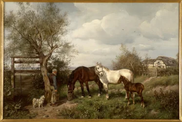 L.Fay, En el campo
