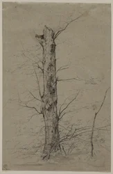 Árbol, c. 1835-45
