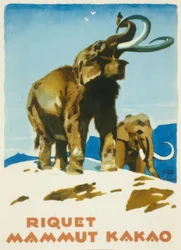 Riquet cacao Mammut