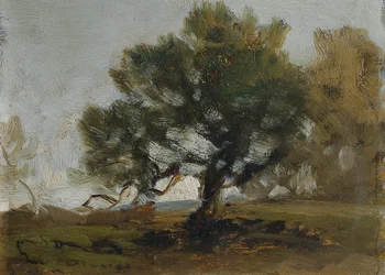 paisaje