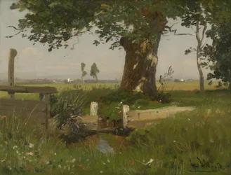 Veraniego paisaje de prados en Carintia