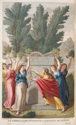 Las Helíades convertidas en árboles que producen ámbar, ilustración de las Metamorfosis de Ovidio, Florencia, 1832