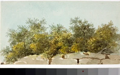 Olivos, País de Liguria (acuarela, circa 1825)