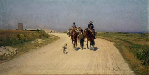 Camino soleado