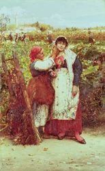 Campesinos en un viñedo