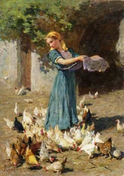 Alimentando a las gallinas