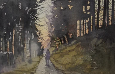 Paseo por el bosque al atardecer