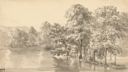 Árboles junto a un lago