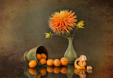 Dalia otoñal y mandarinas