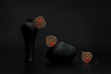 Farolillos chinos y jarrones negros