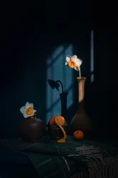 Narcisos, cítricos y sombras