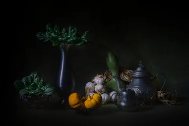 Bodegón de cosecha oscura