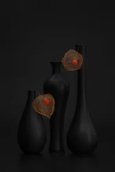 Elegante bodegón de physalis negro